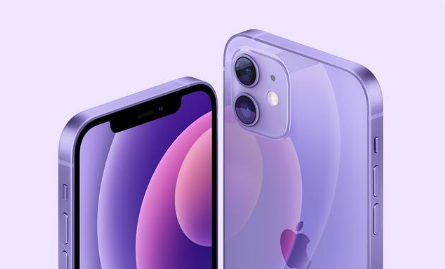 奉化苹果手机维修分享紫色版iPhone 12有什么技术亮点 