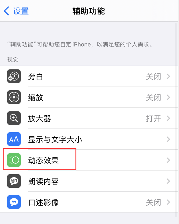奉化苹果手机维修分享iPhone 12 退出应用时没有动画显示，如何设置 