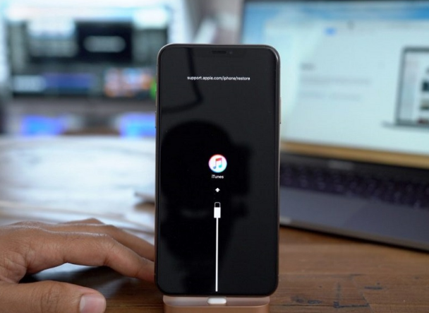 奉化苹果手机维修分享iPhone12进DFU教程 